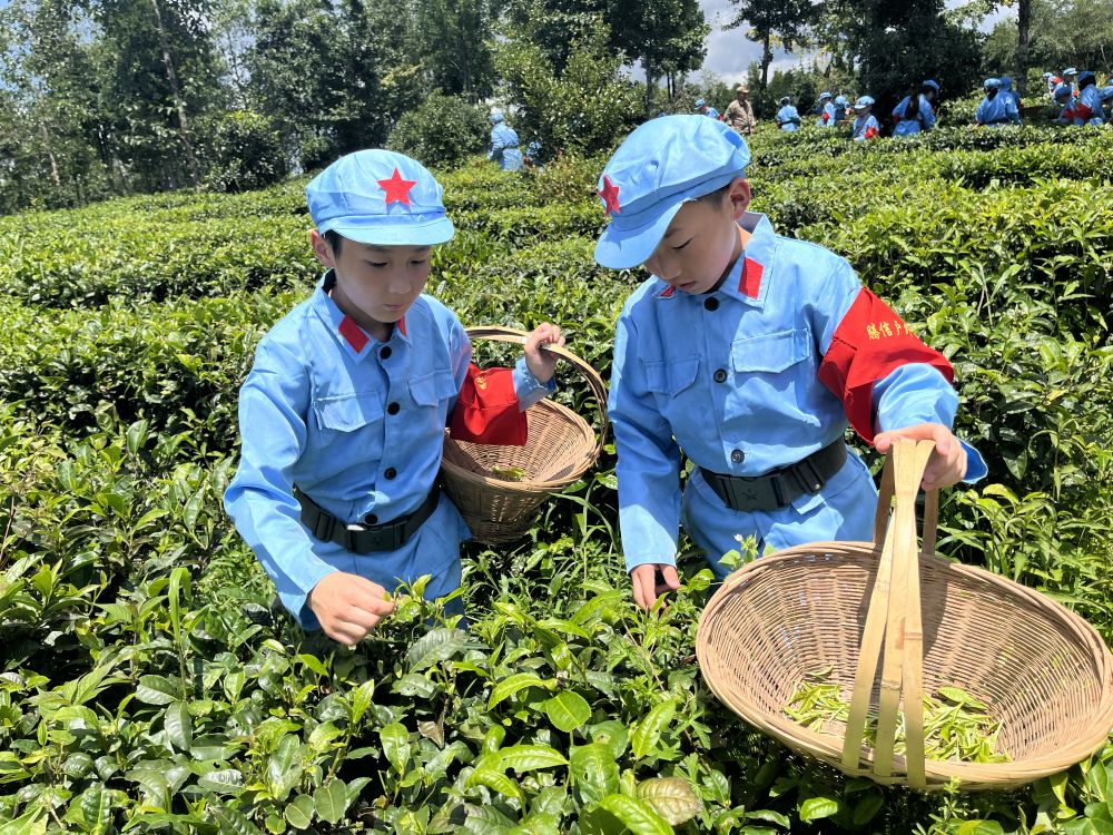 微信圖片_20220810135348