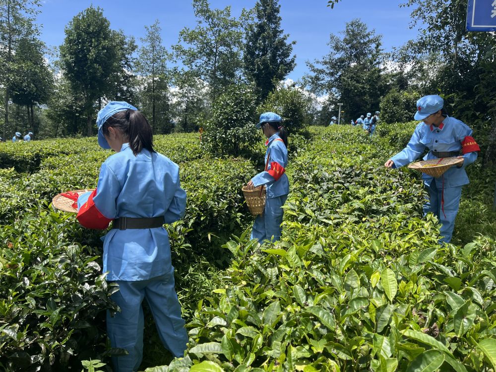 微信圖片_20220810135423